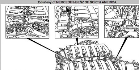 Mercedes hunting idle #6