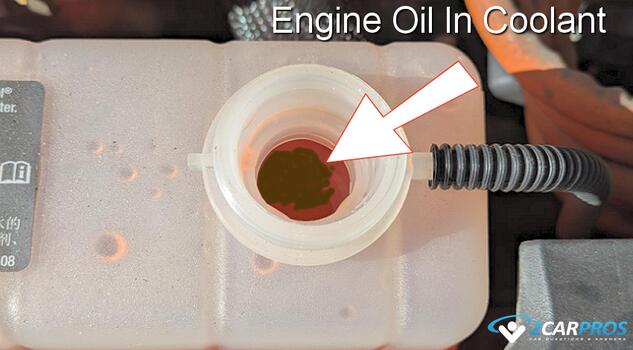 automotive engine oil in radiator coolant