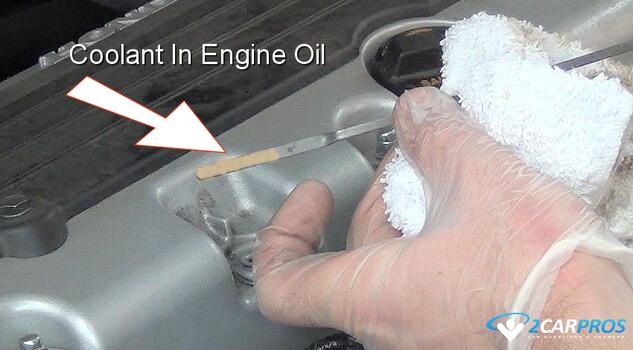 radiator coolant inside engine motor oil