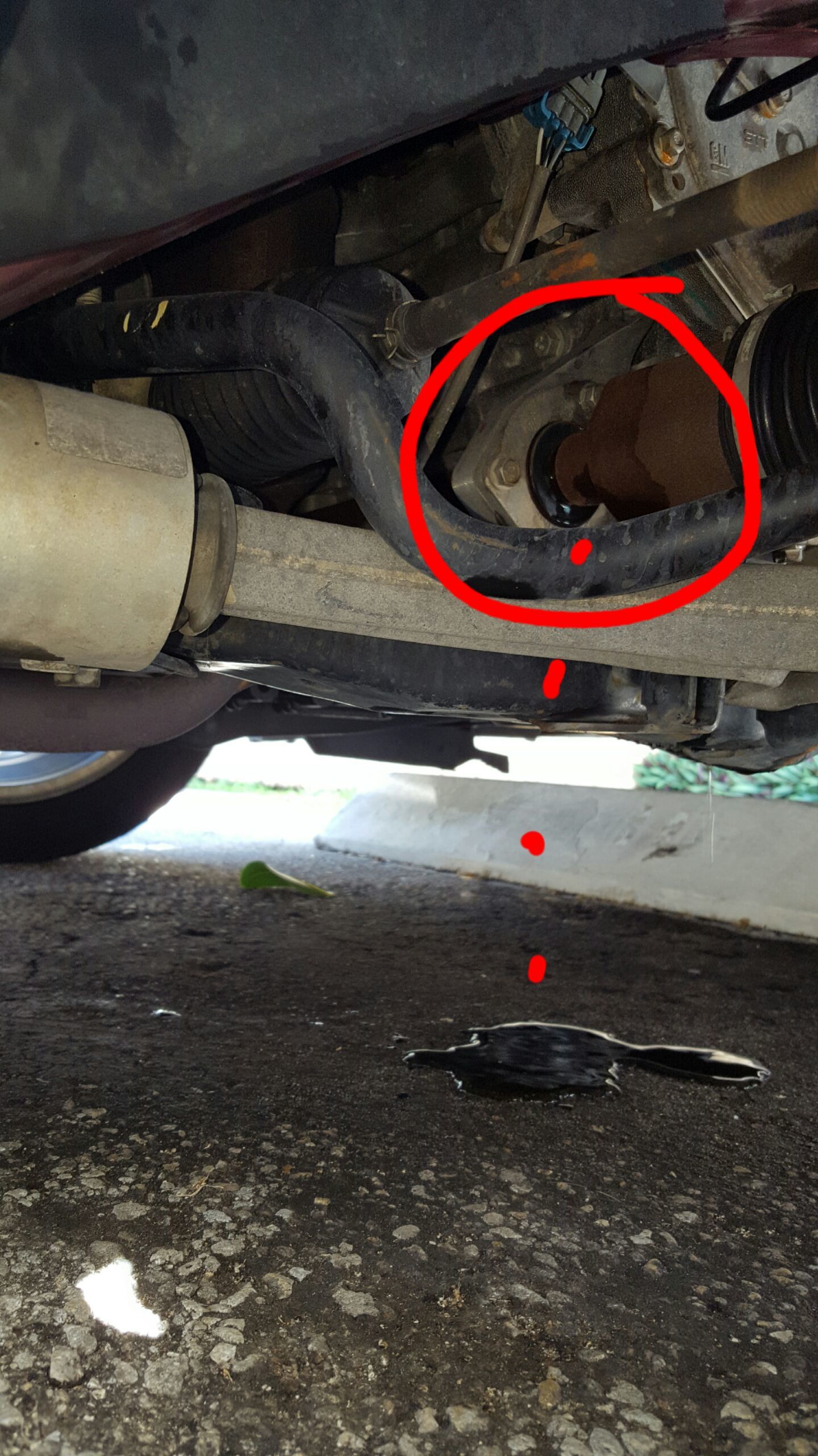 Car Leaking Coolant From Radiator Car Coolant Leaking Inspection AutoGuru If You Notice A
