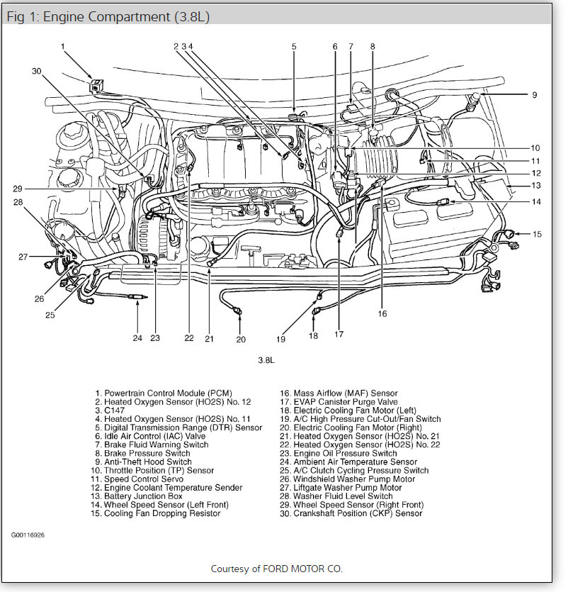 Engine Cooling Fans Stays On: I Want to Know Where the Temperature...