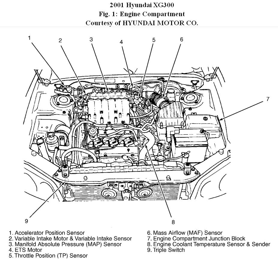Diagram Hyundai Xg300 Fuse Box Diagram Full Version Hd Quality Box Diagram Diagramthis Spanobar It