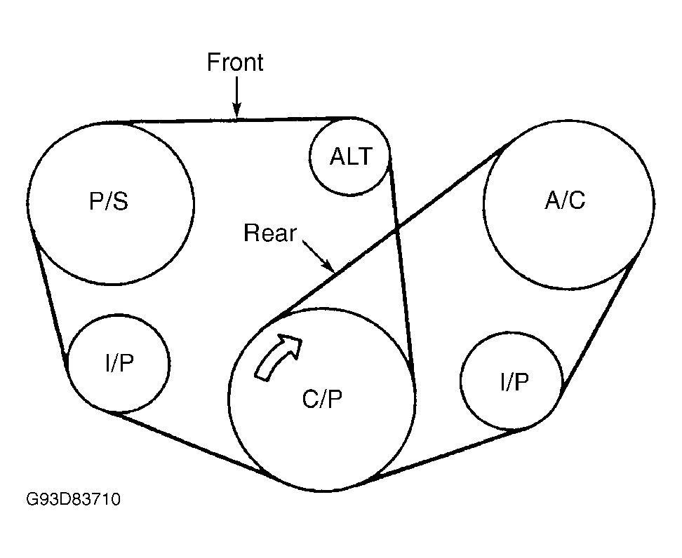 1995 Subaru SVX Serpentine Belt Routing and Timing Belt Diagrams