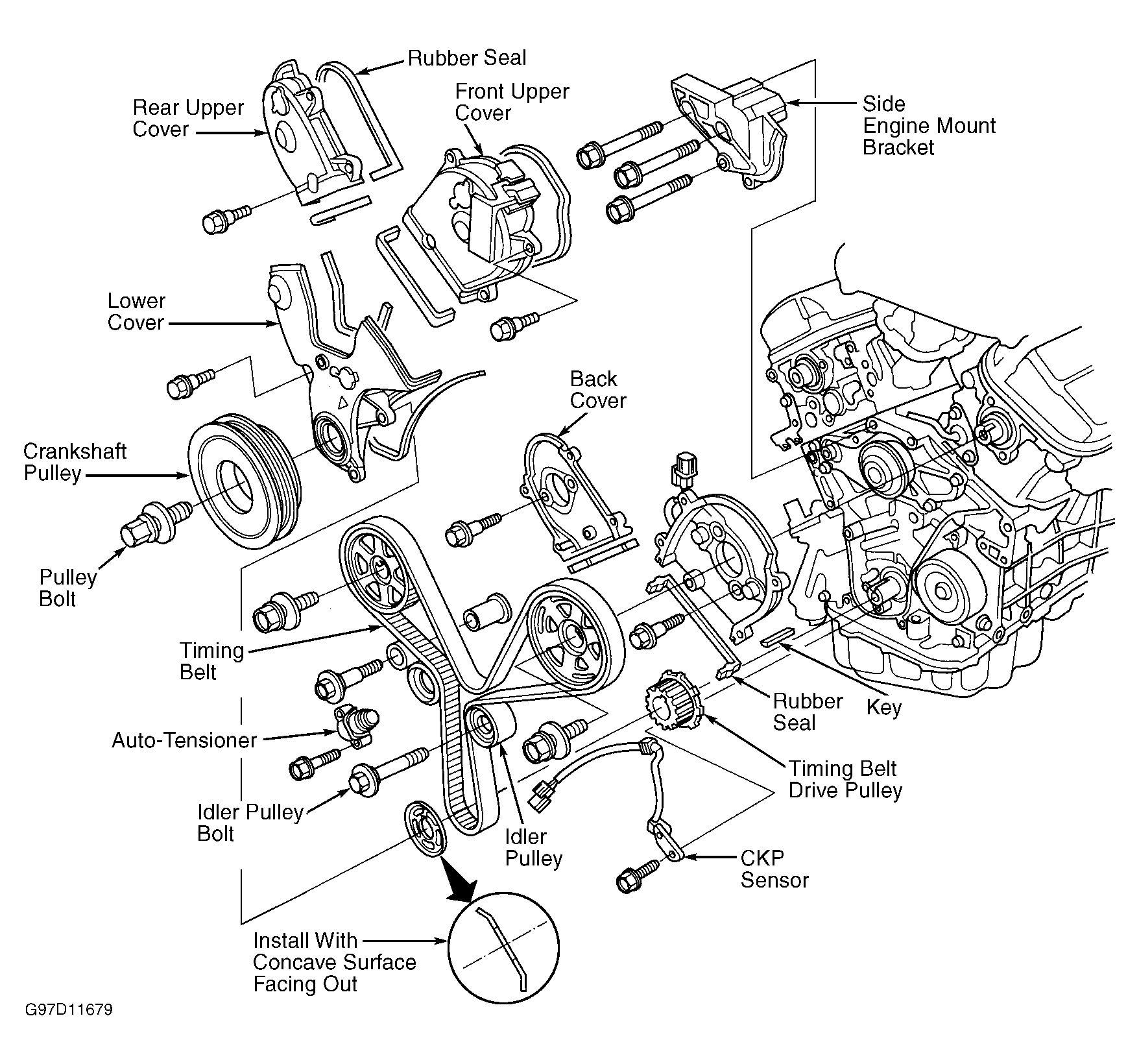 1999 Honda Odyssey Serpentine Belt Routing and Timing Belt Diagrams